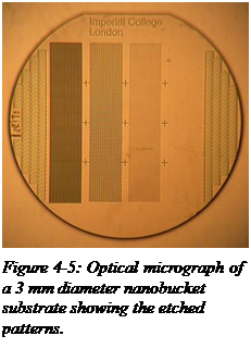 Text Box:  
Figure 4-5: Optical micrograph of a 3 mm diameter nanobucket substrate showing the etched patterns.
